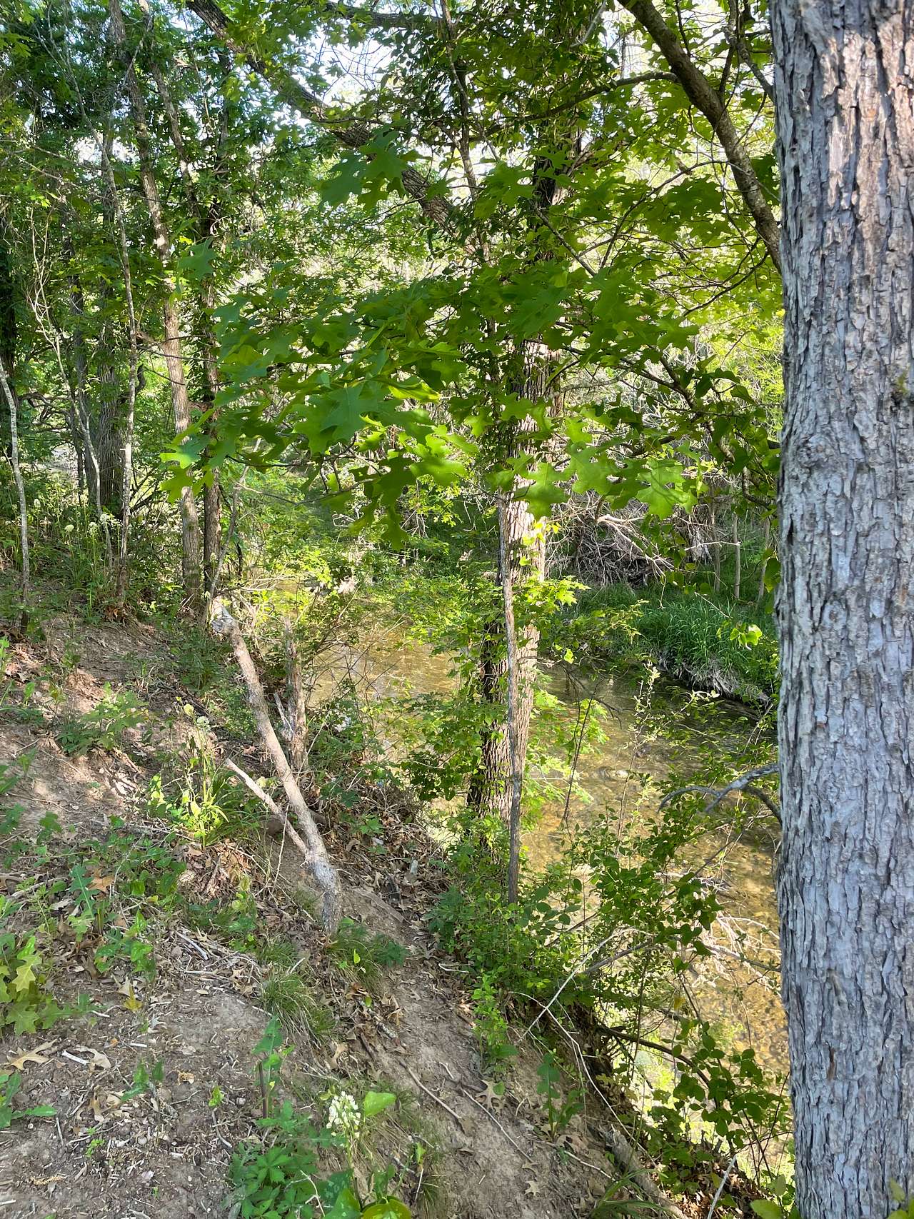 Creekside Coach Park