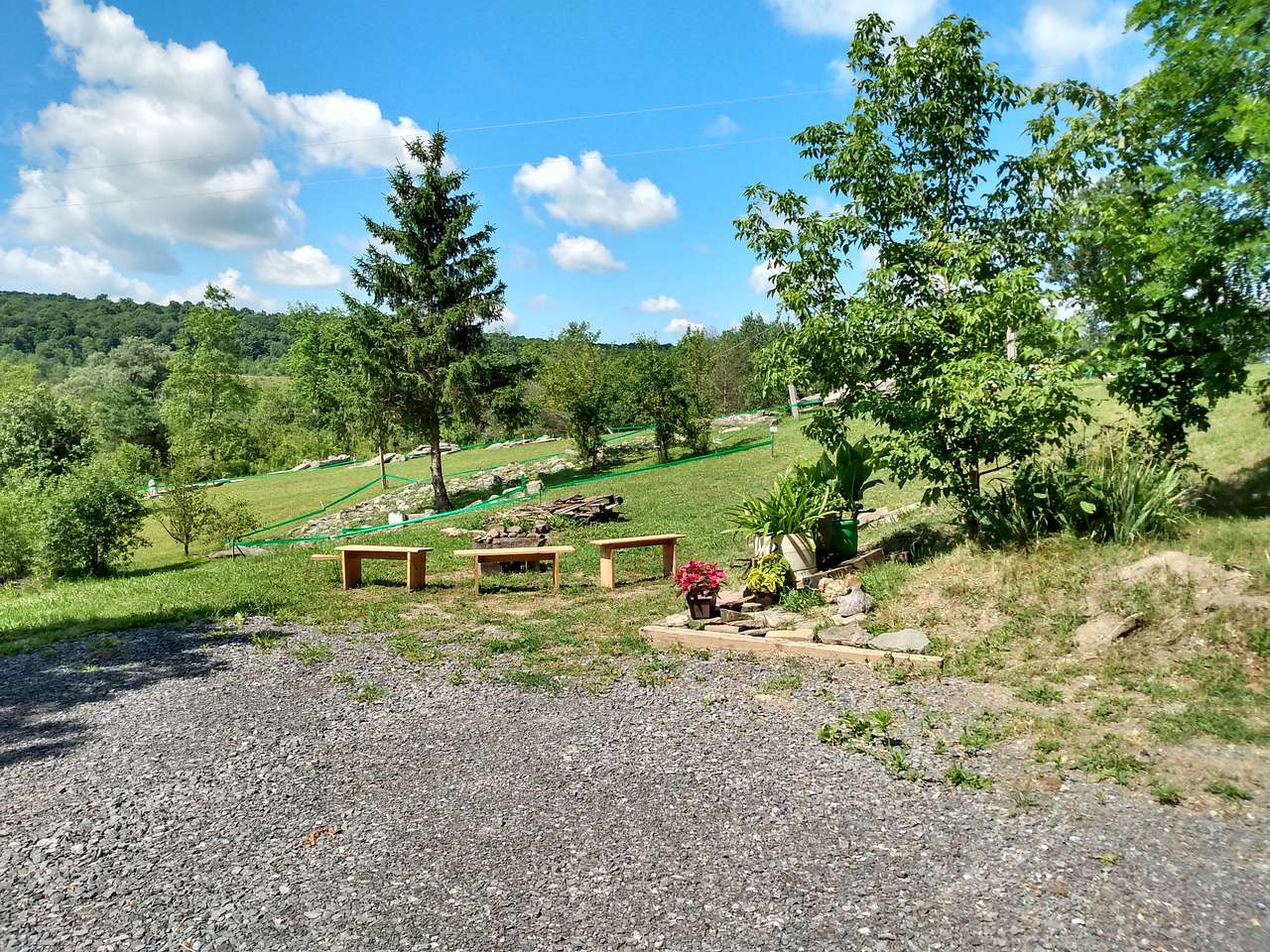 Picture of the site