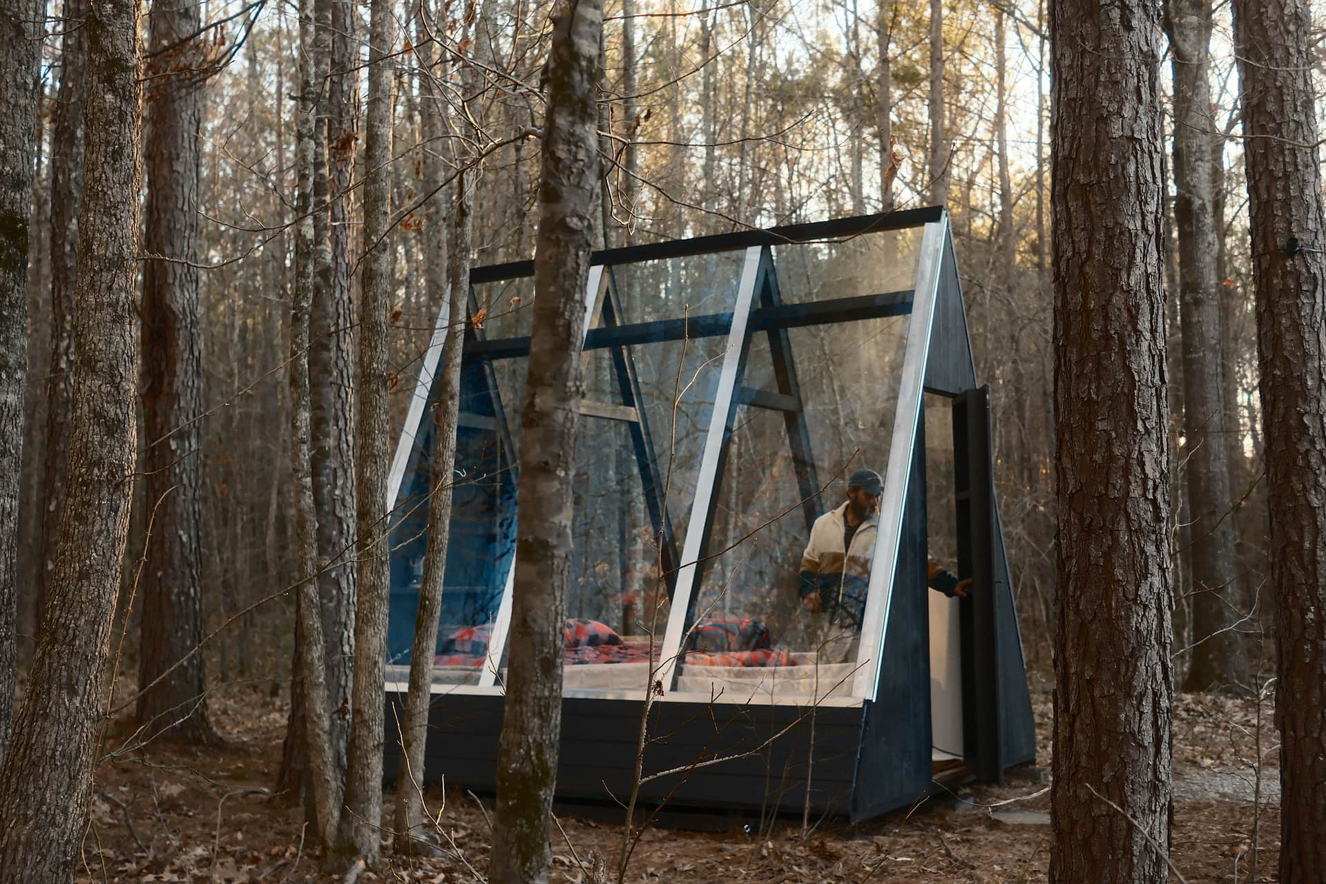 Private Georgia Forest