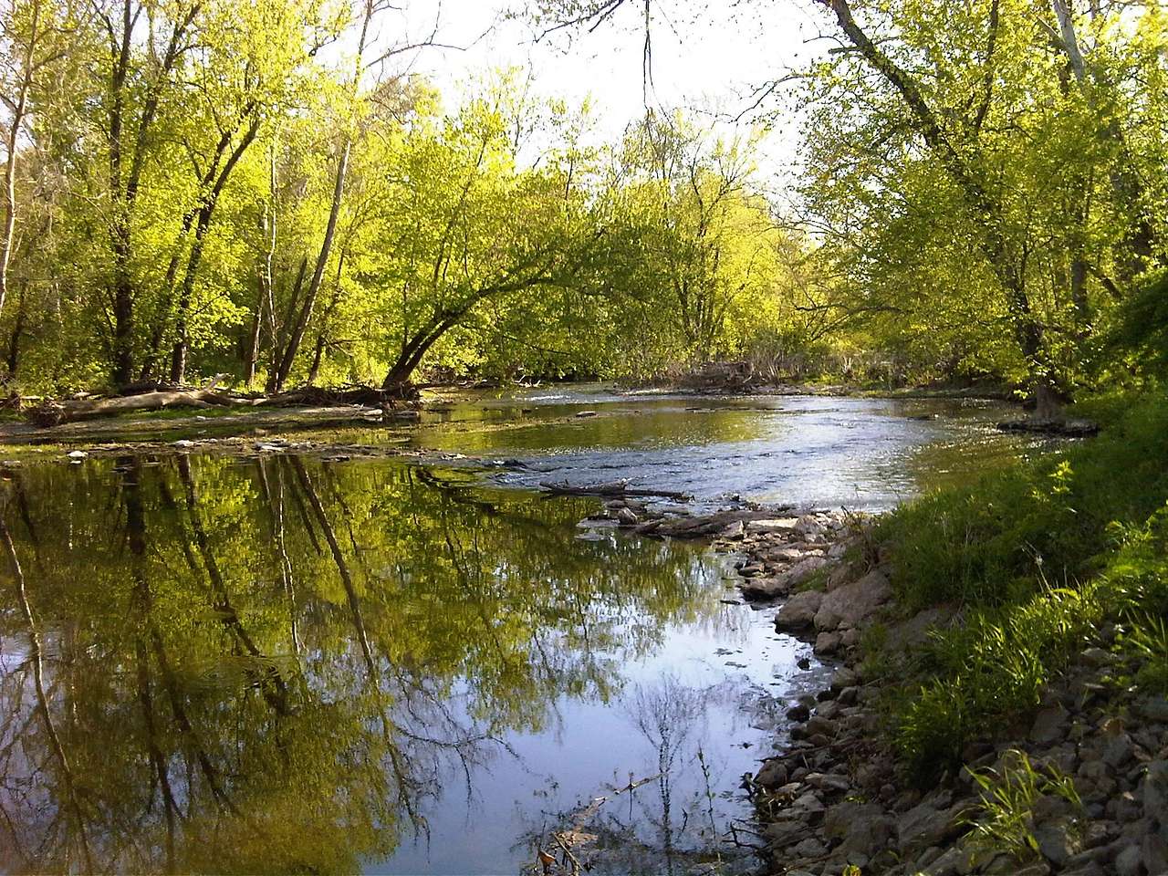 Picture of the site