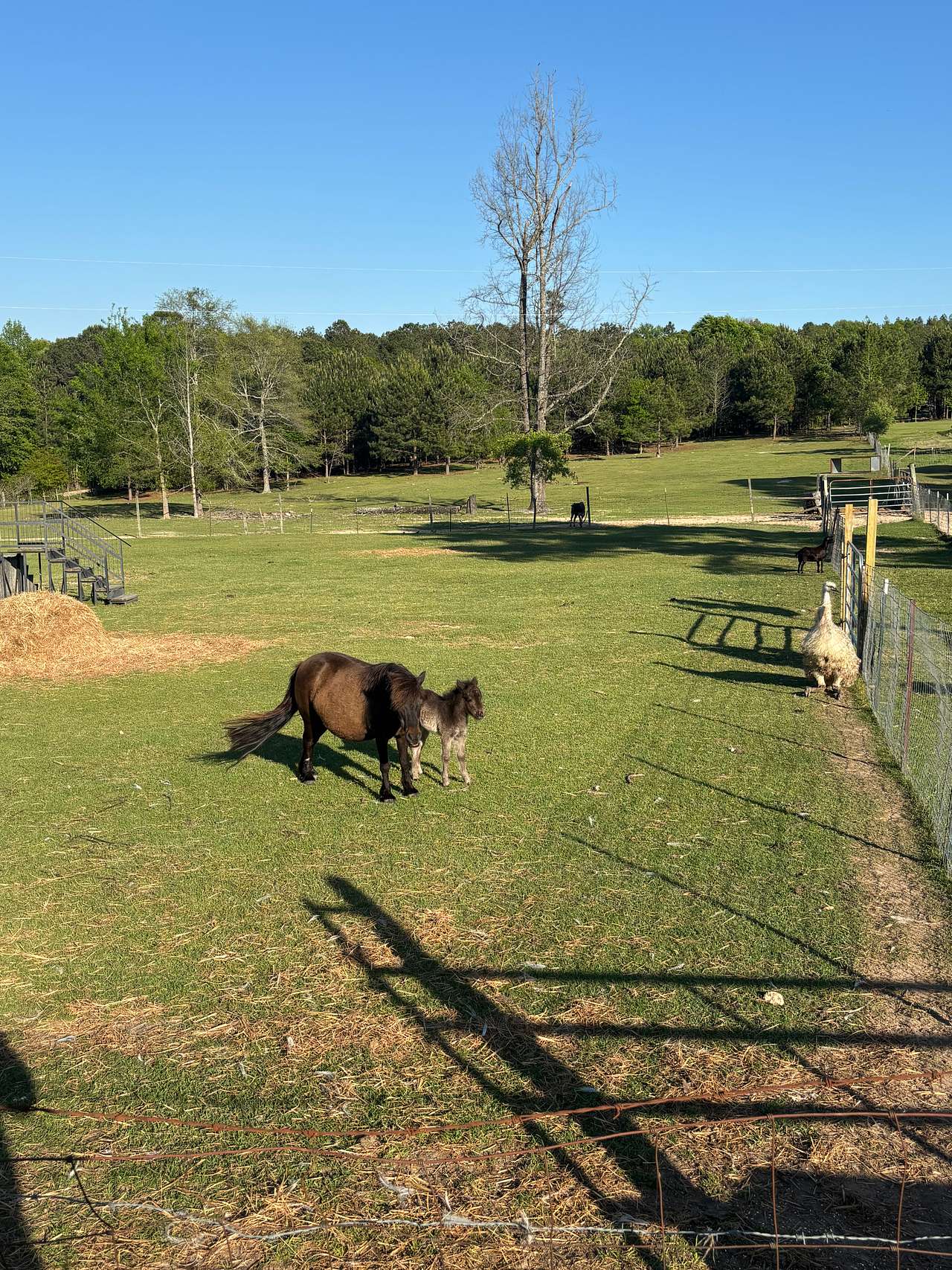 Piney Hills Campground