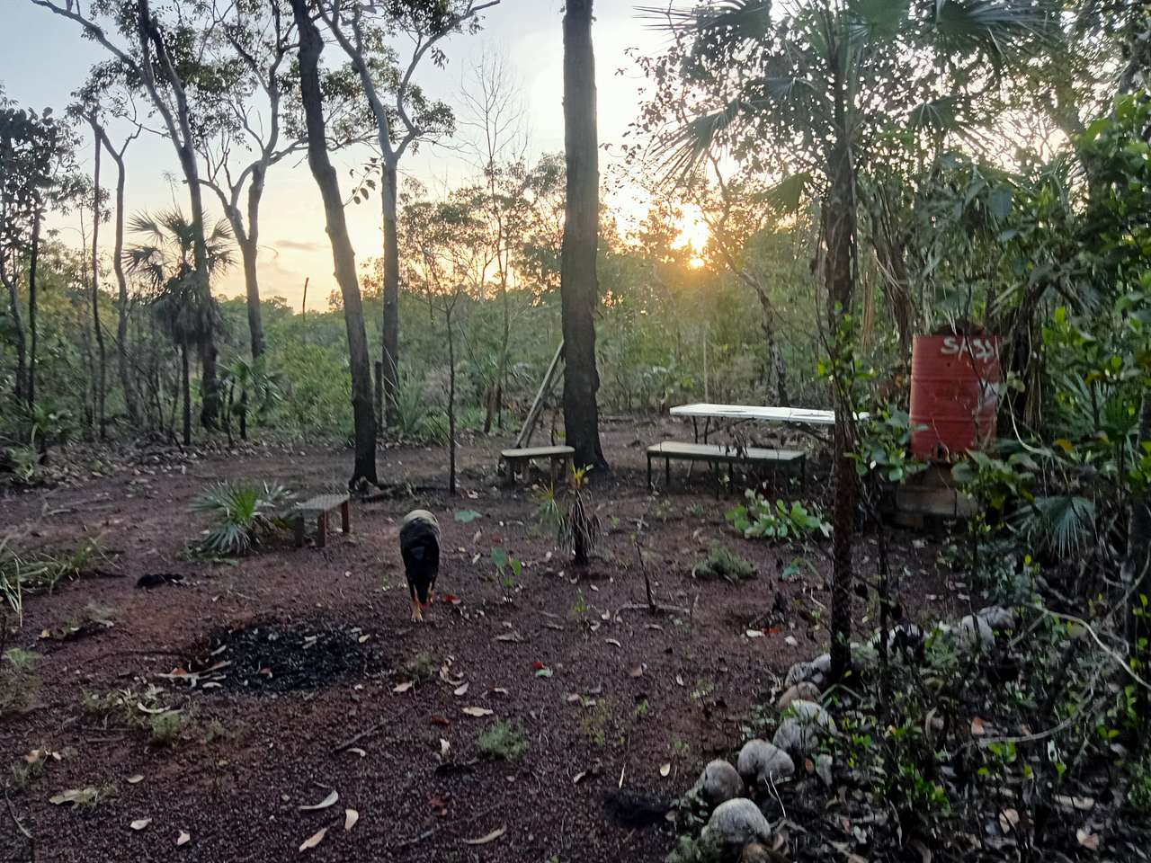 Picture of the site
