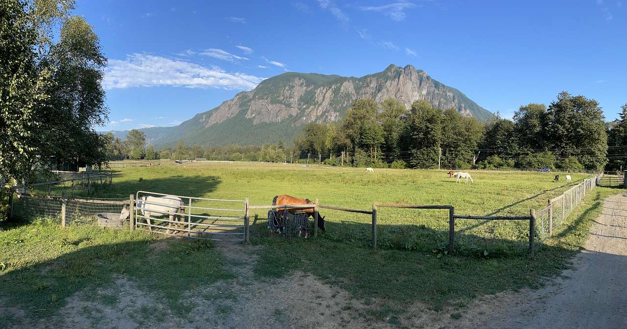 Rosebud Equestrian