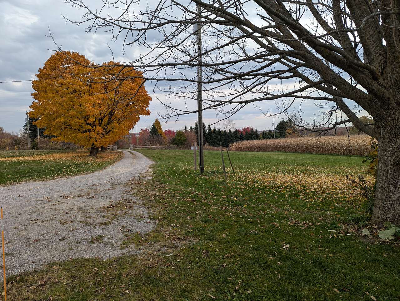 WILLOWJAYS (Farm with Views)
