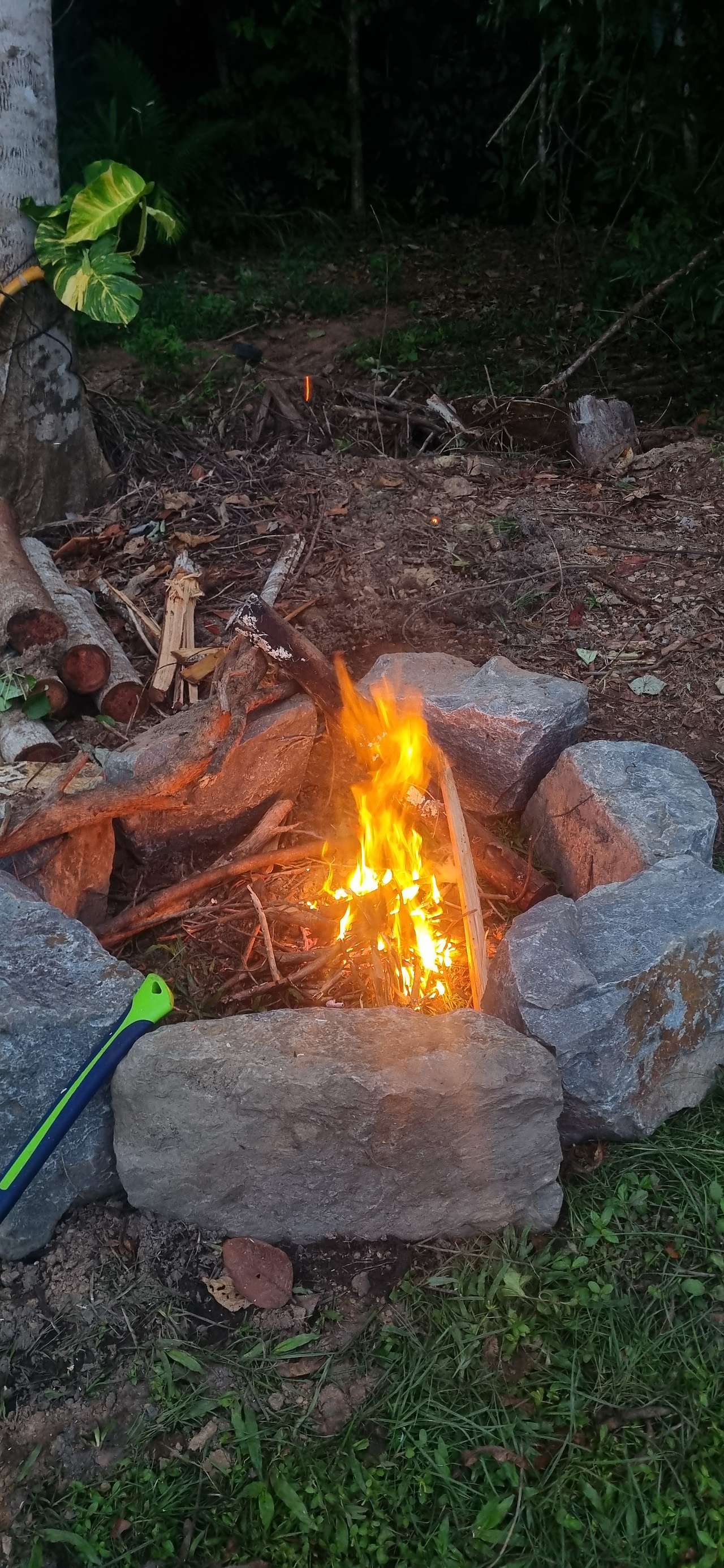 View amenities photos of GLOWS Garden Centre Camp