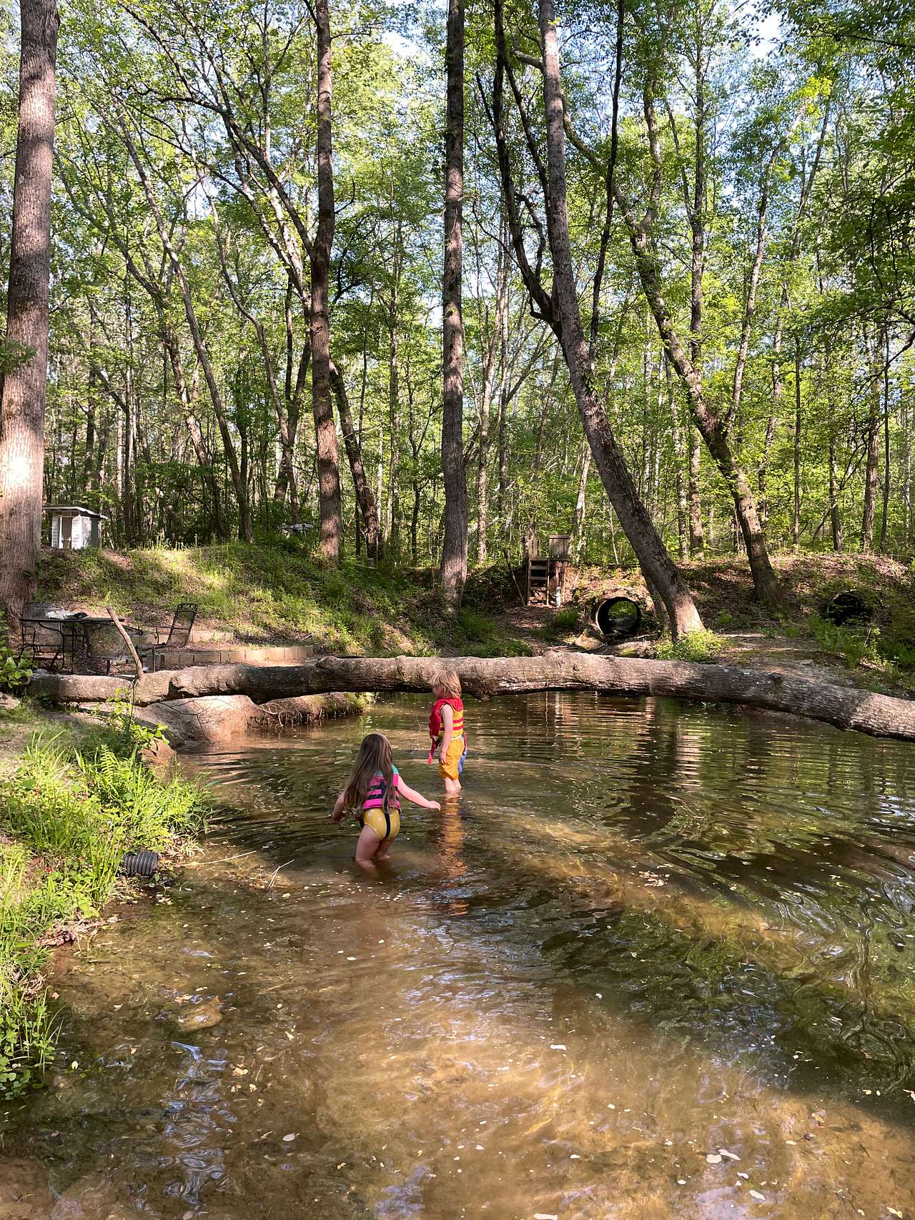 swimming hole 