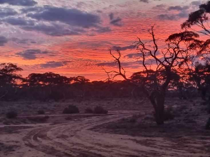 Burra Creek Camping