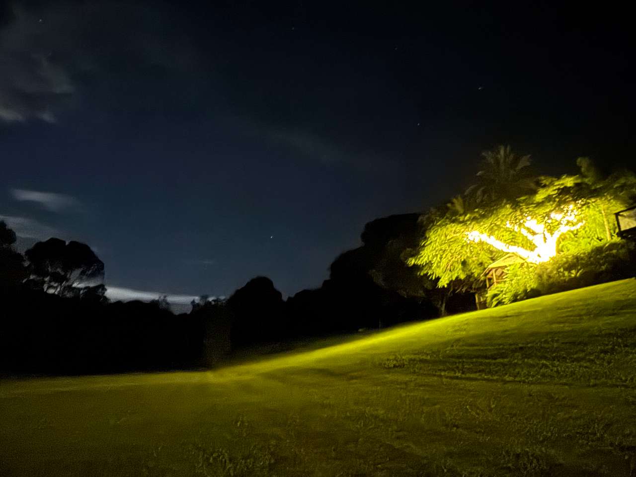 The Enchanted Paddock