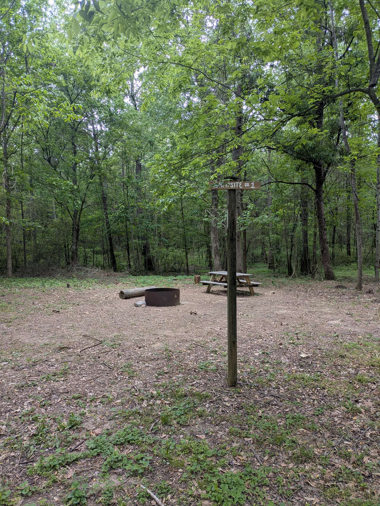 Picture of the site
