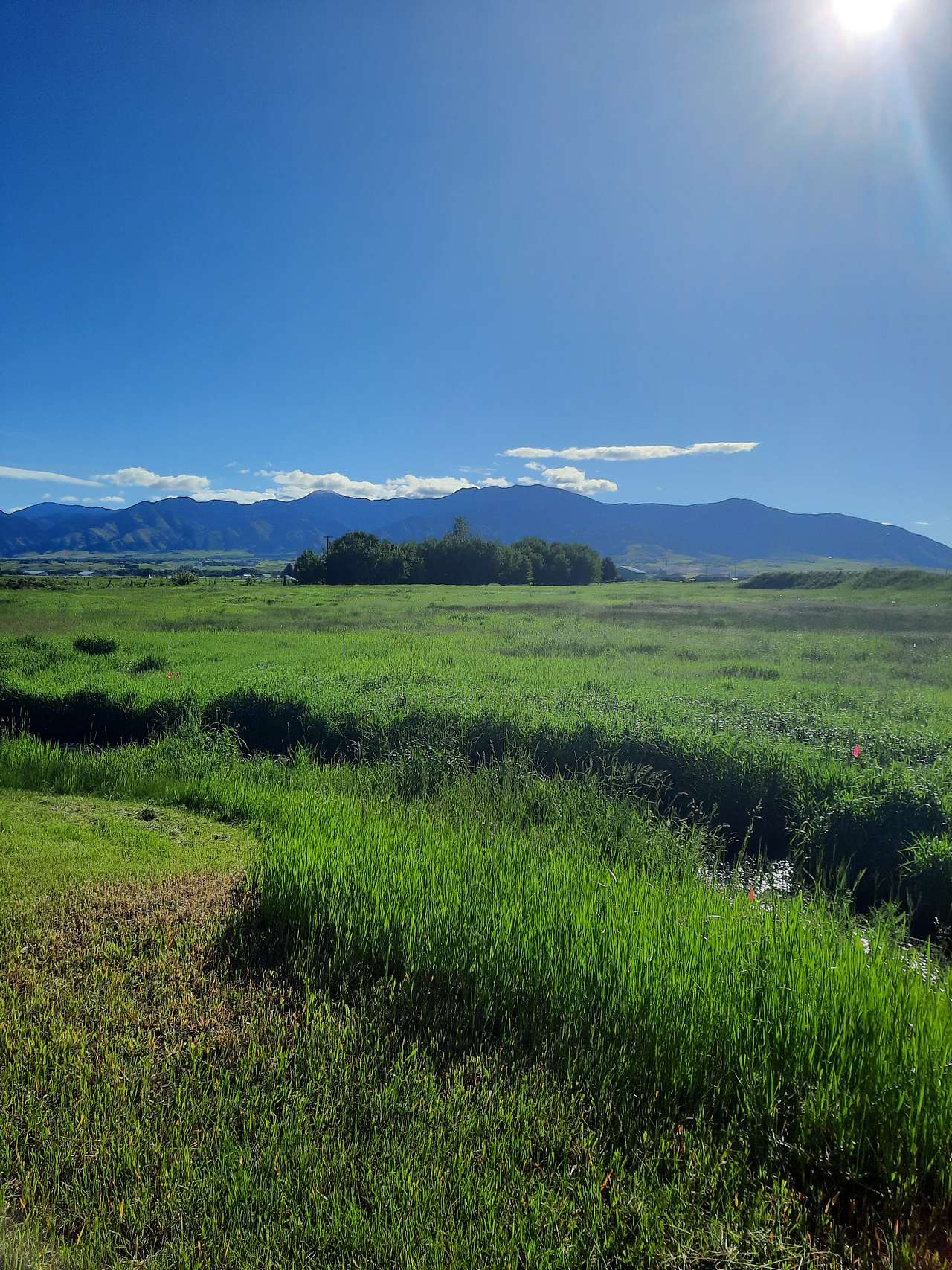 Creekside at Liberty Acres Bozeman