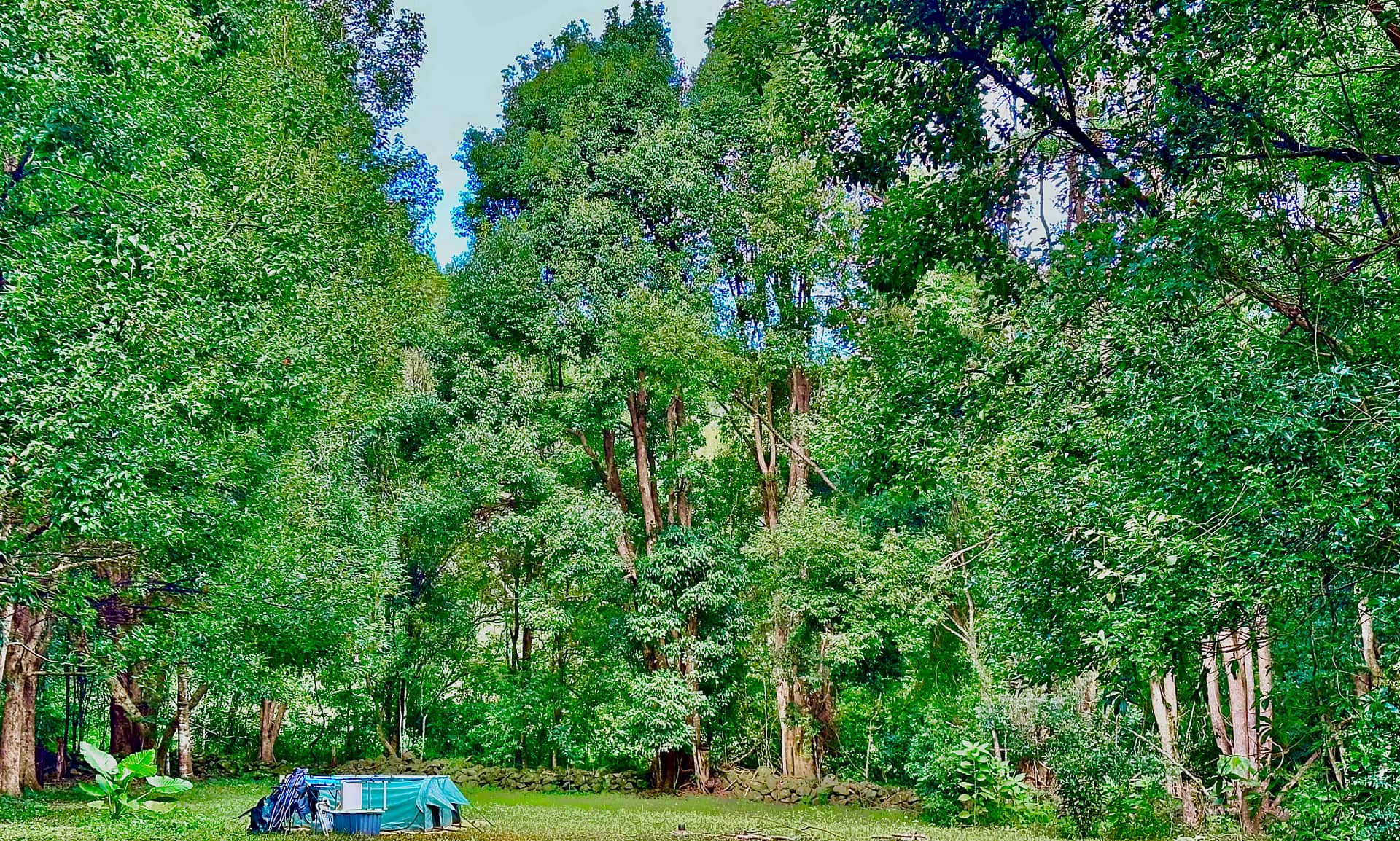 Jessria Shalom Nature Bush Camp