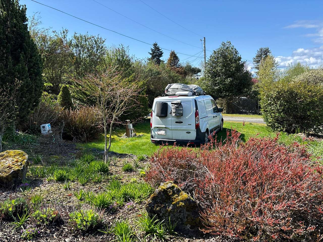 Overall view of site 1