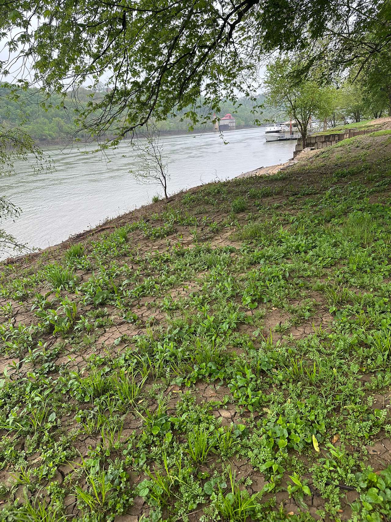 Ohio River Town Experience