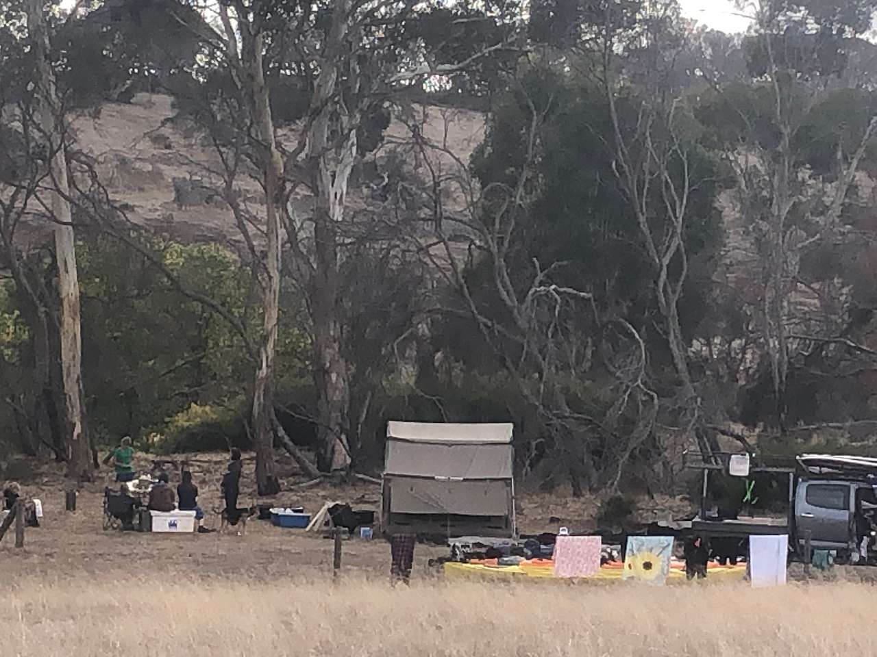 Picture of the site