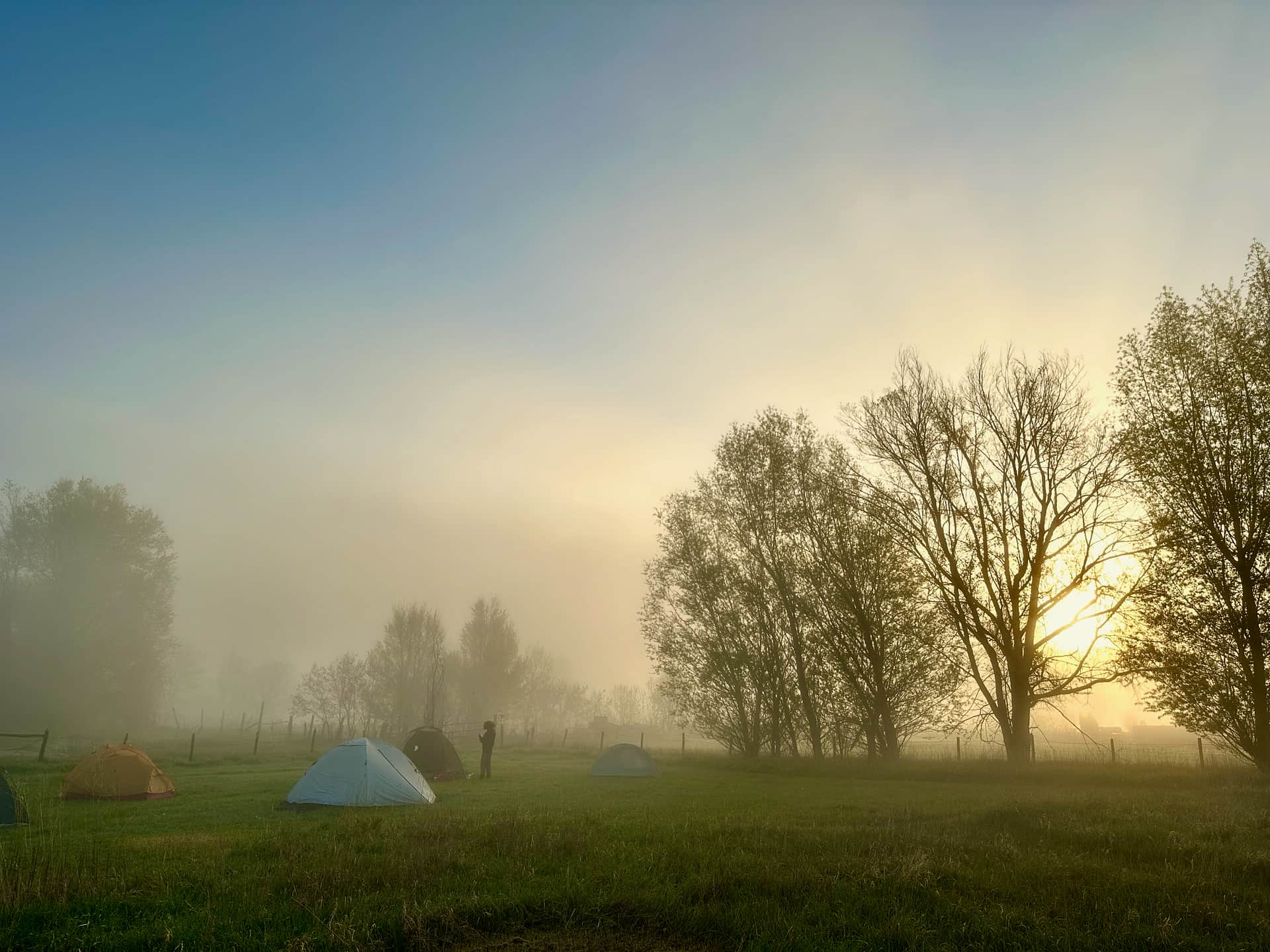 Walk-In Tent Meadow at Sunrise
