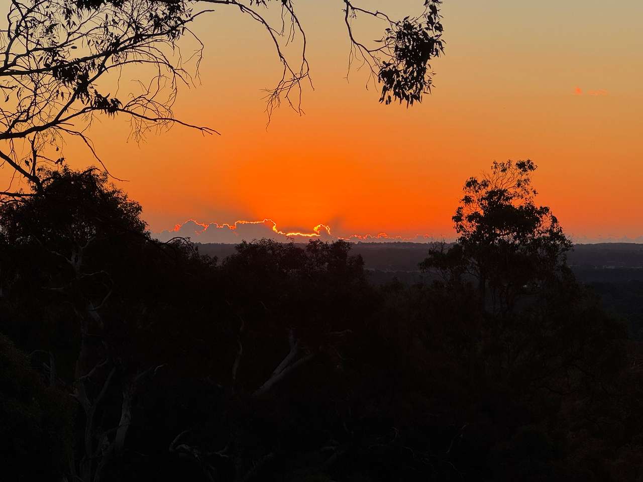 Yarrabah High Country- Jarrahdale