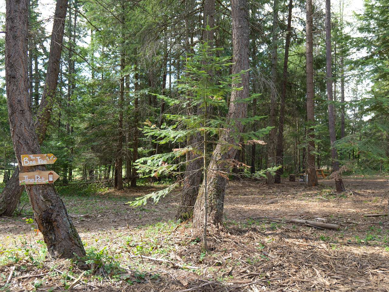 Picture of the site