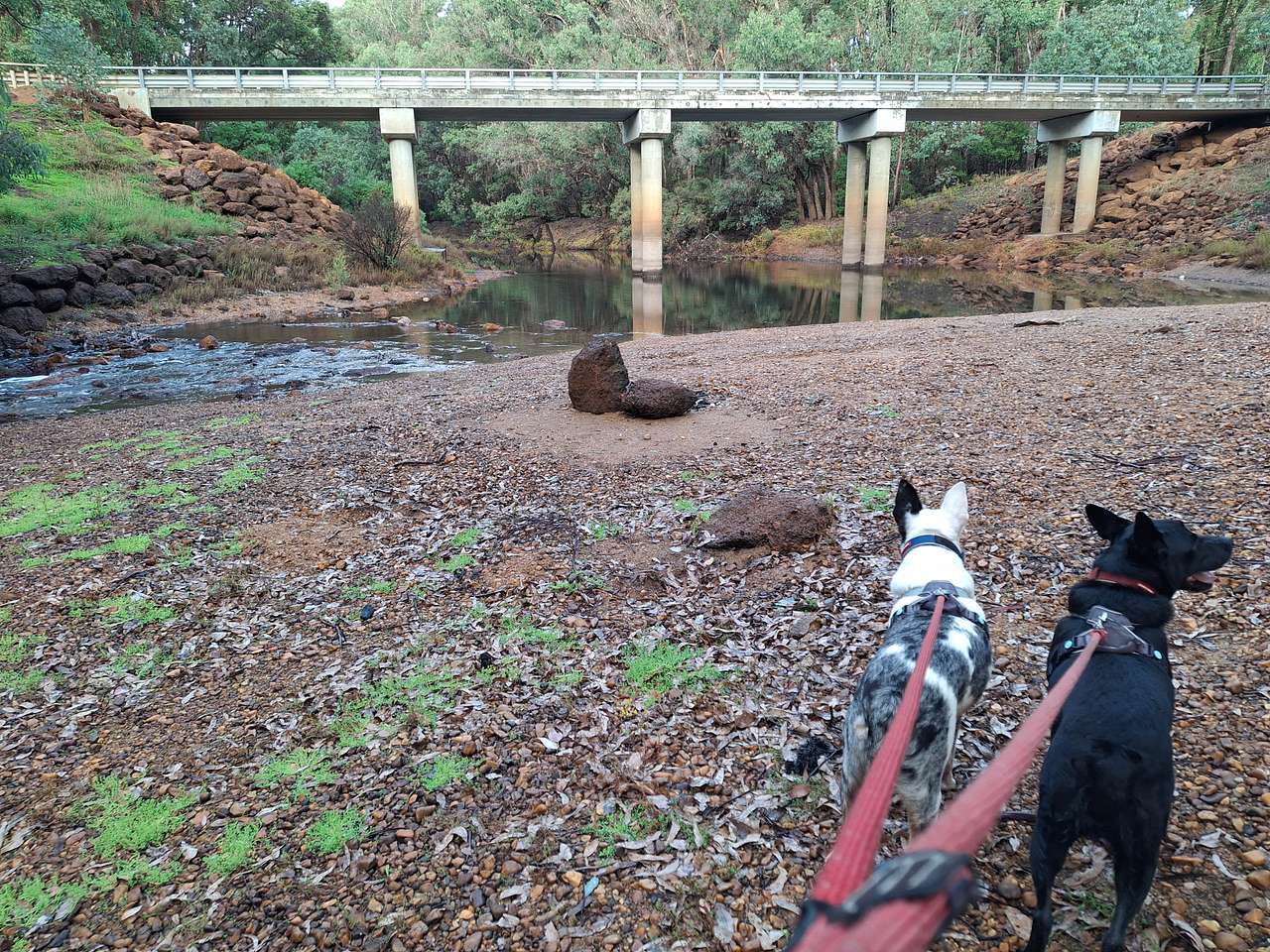 Nannup River Cottages