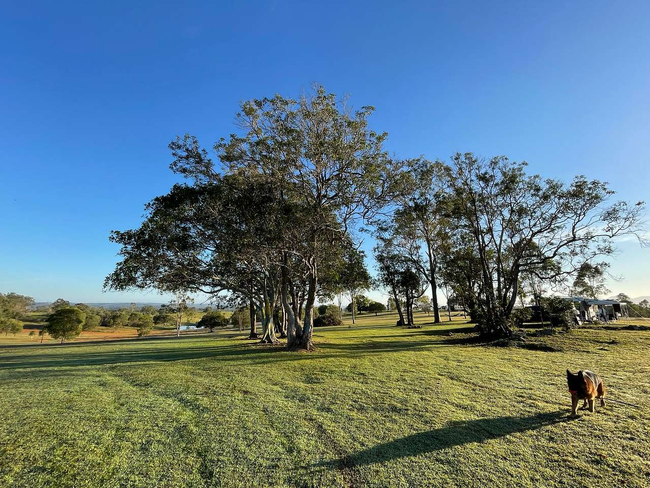 Fig Tree Camp