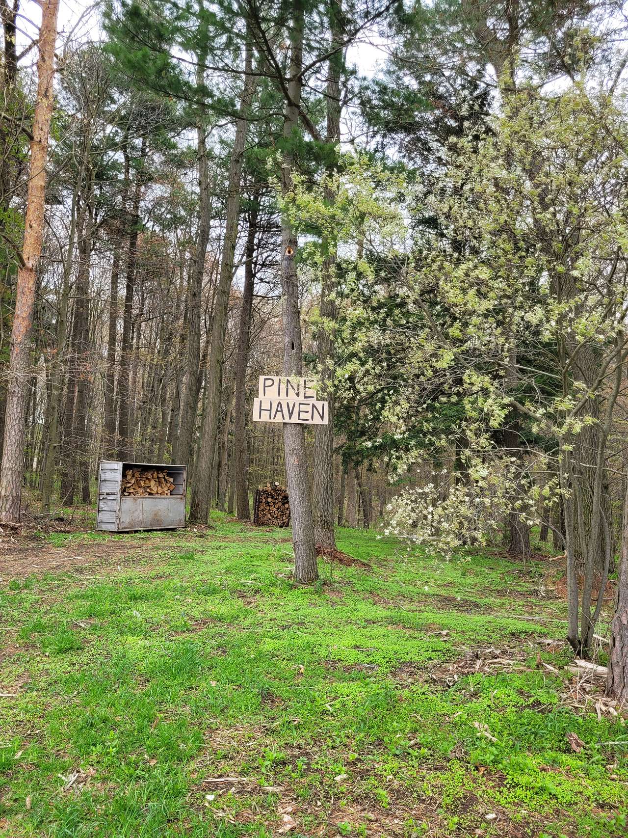 Spring Arbour Magic Forest &Trails!