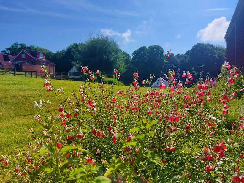 Oak Valley Lodges & Camping