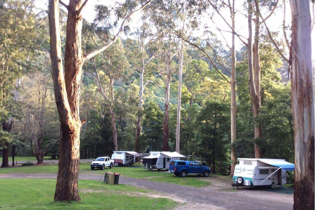 Tarra Valley Retreat
