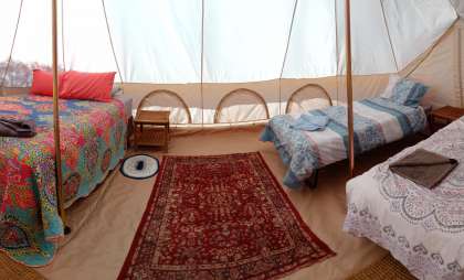 Picture of the site