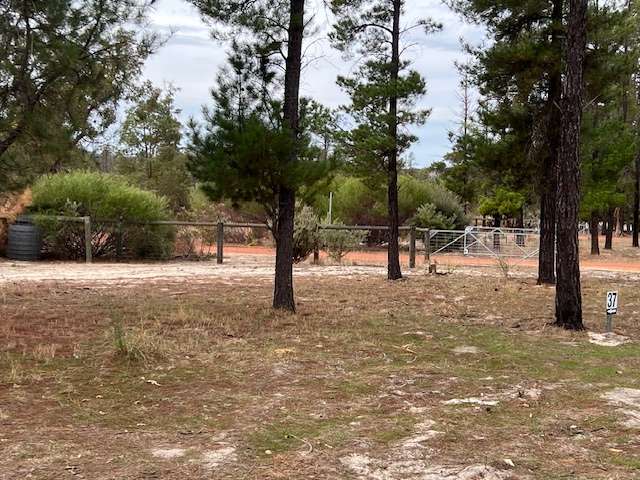 Little Eeden Farm Pine Camp