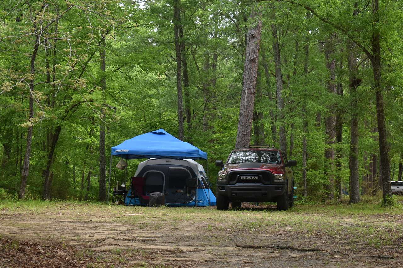 Picture of the site