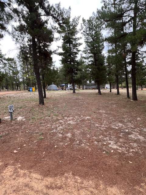 Little Eeden Farm Pine Camp