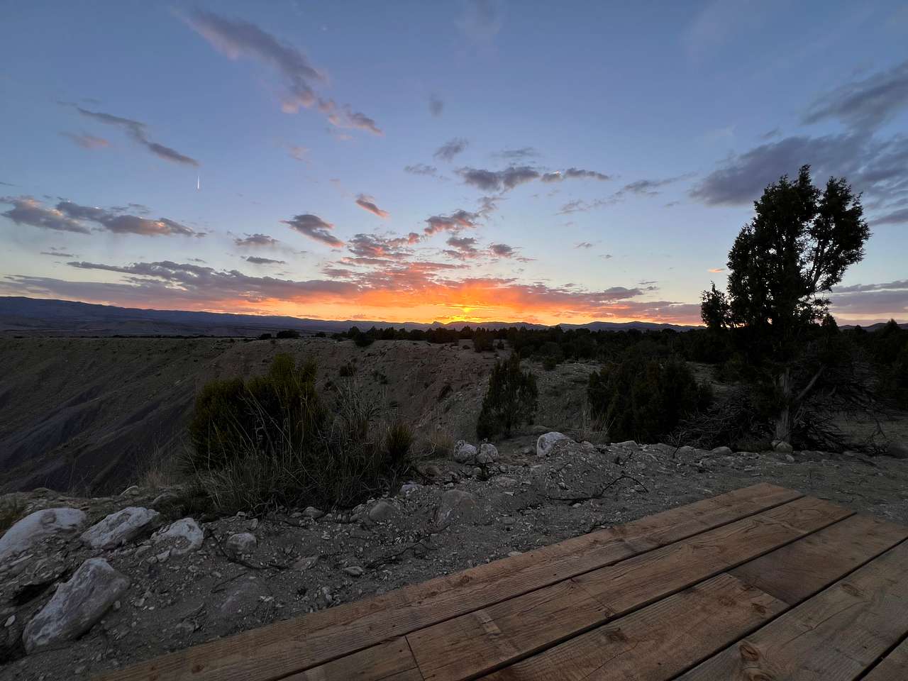 Picture of the site