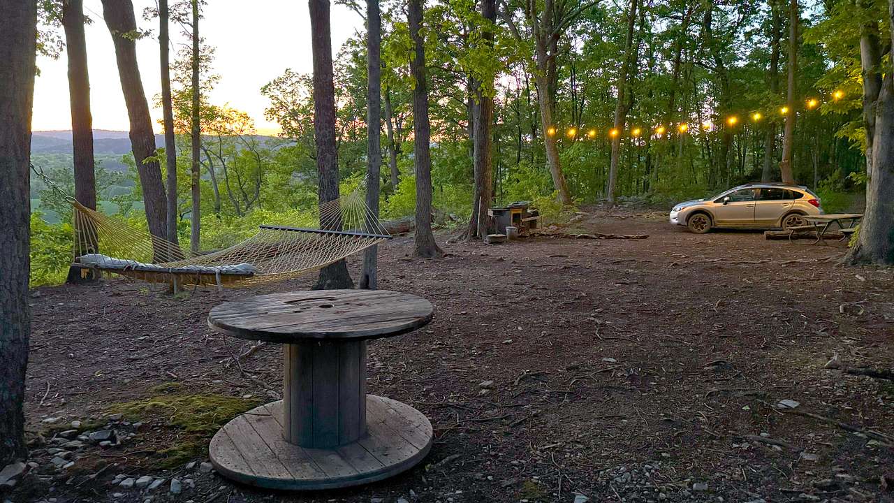 Picture of the site
