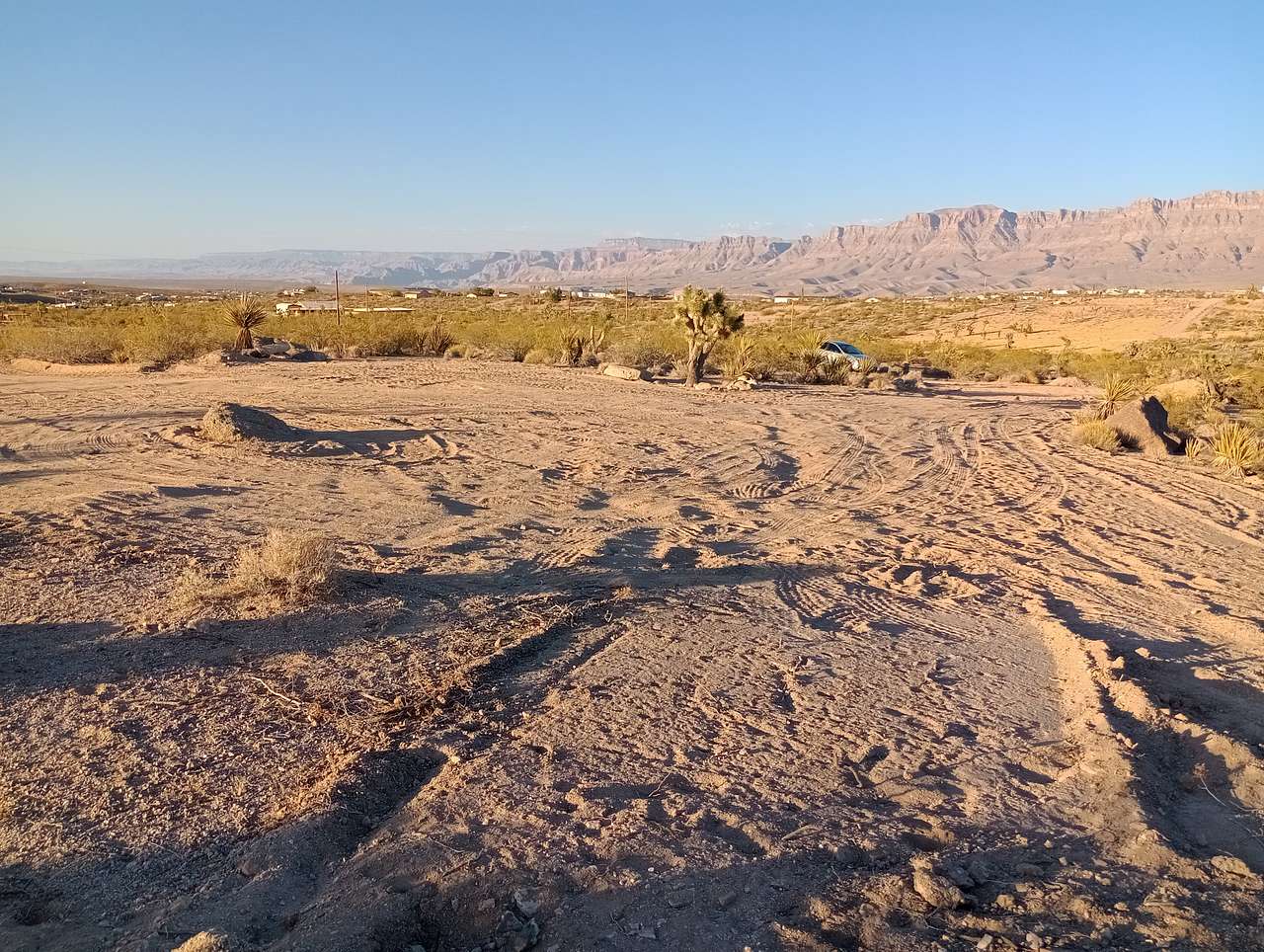 Picture of the site