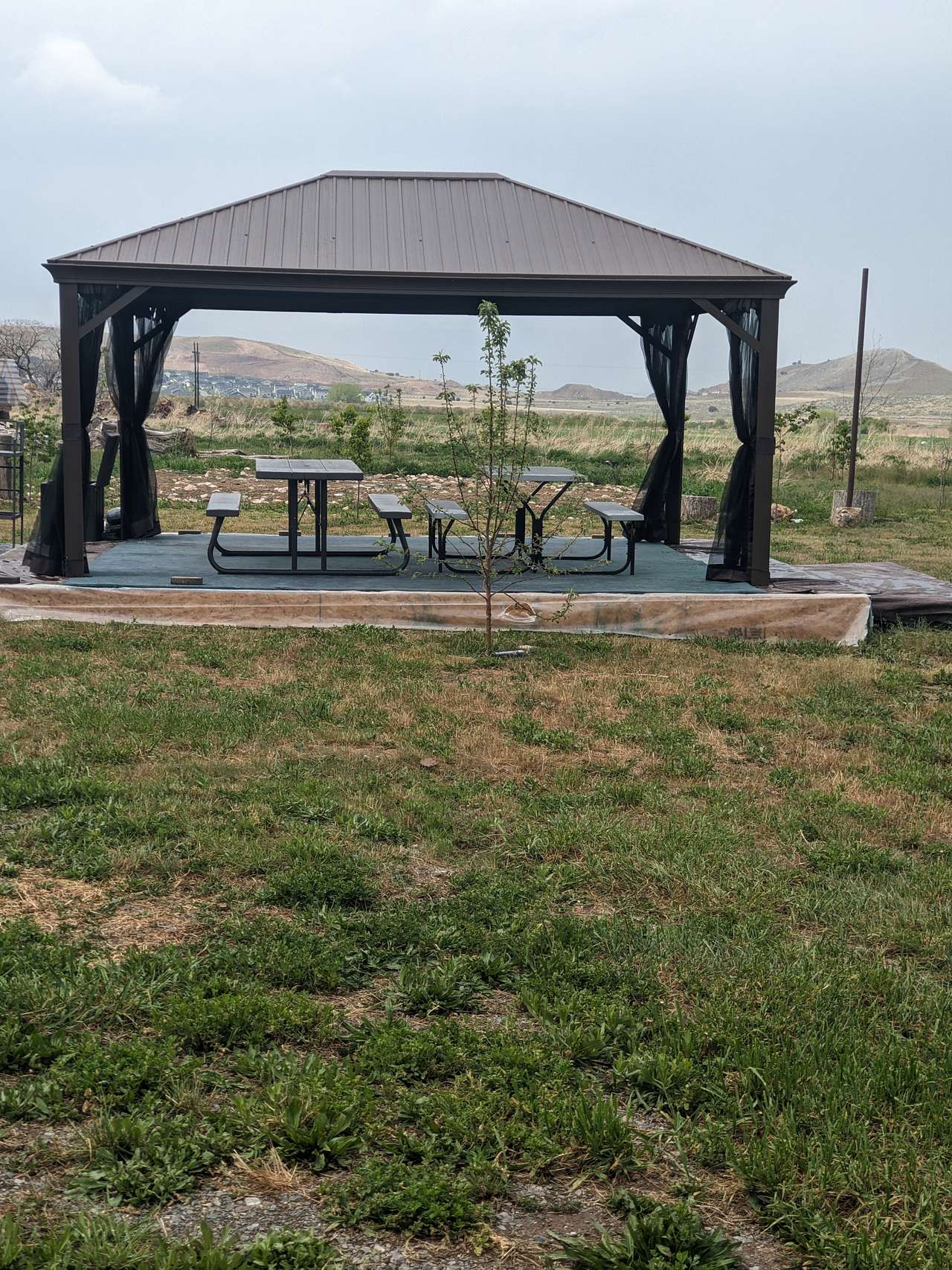 Picture of the site
