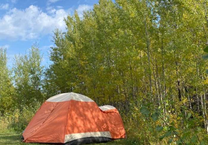 Hungry Hippie Hostel + Campground