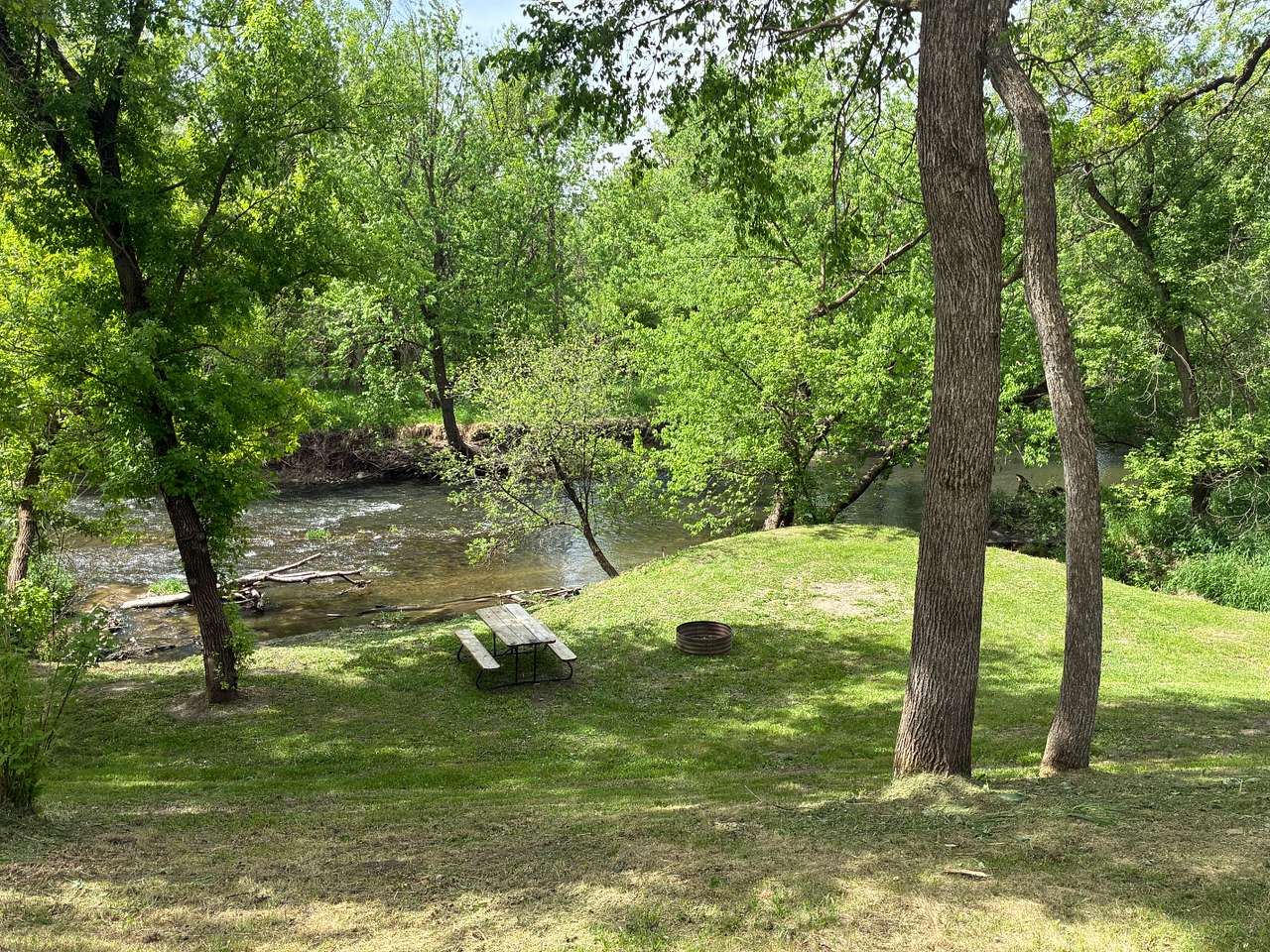 Picture of the site