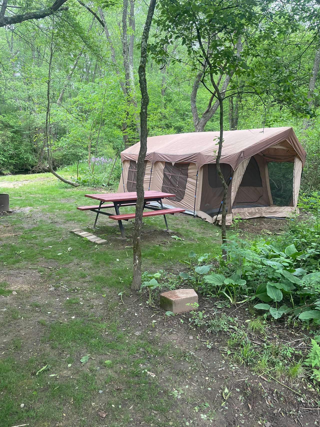 Picture of the site