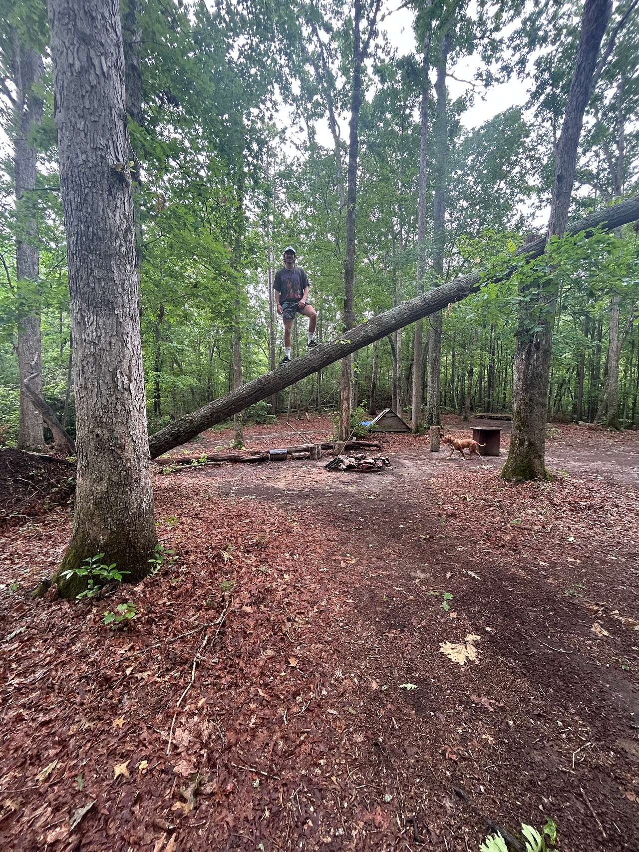 3 Creeks Camp and Nature Preserve