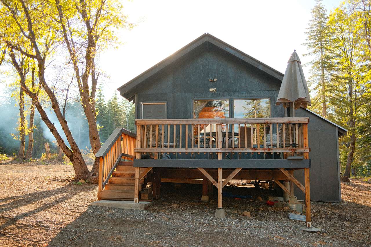 The "front" of the cabin, which faces the pine tree view