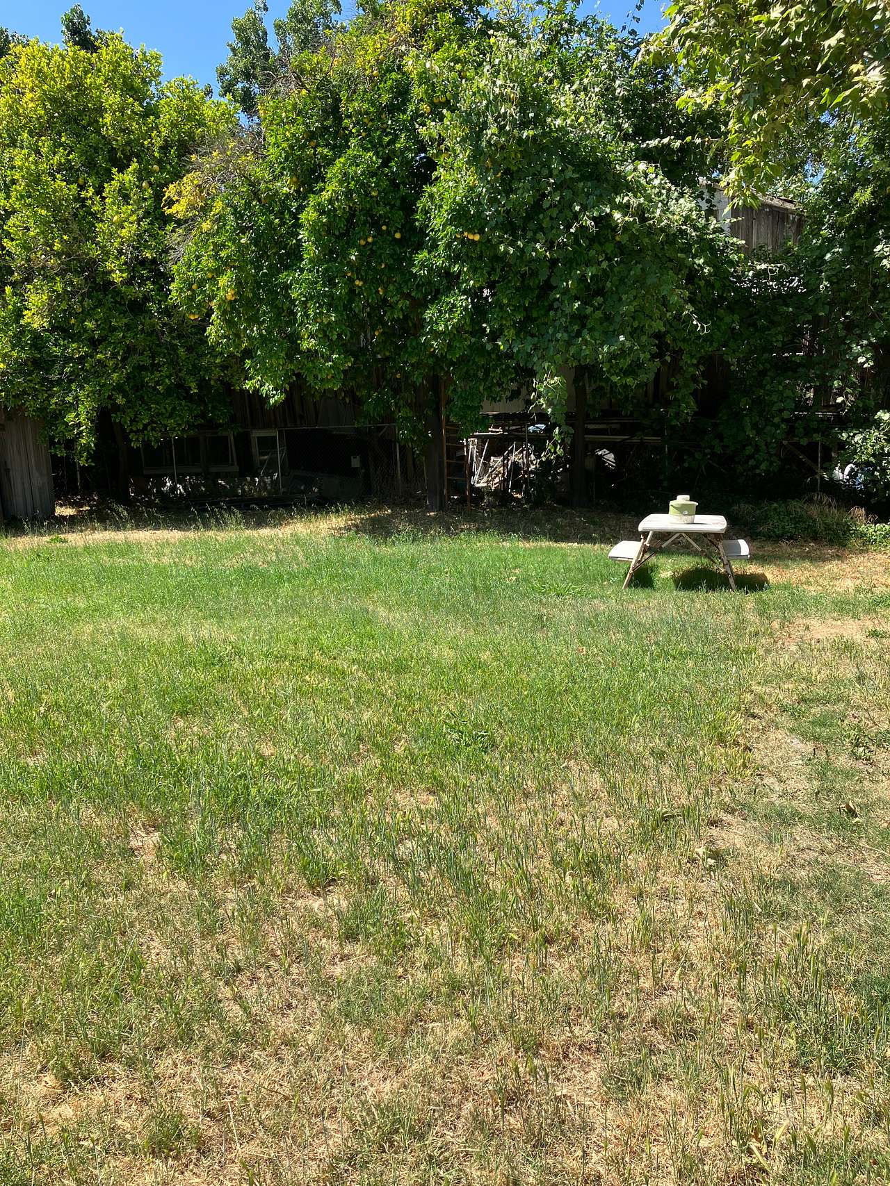 Delta Meadows River Camp