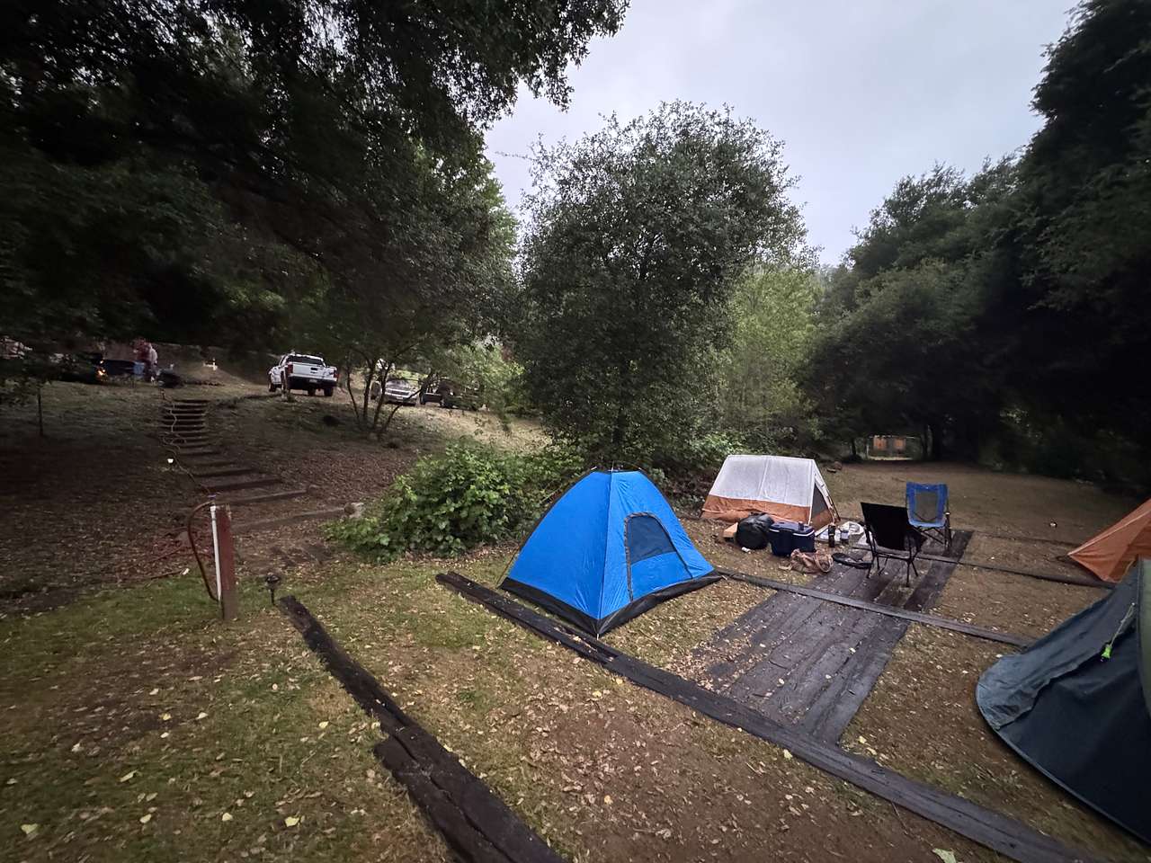 Picture of the site