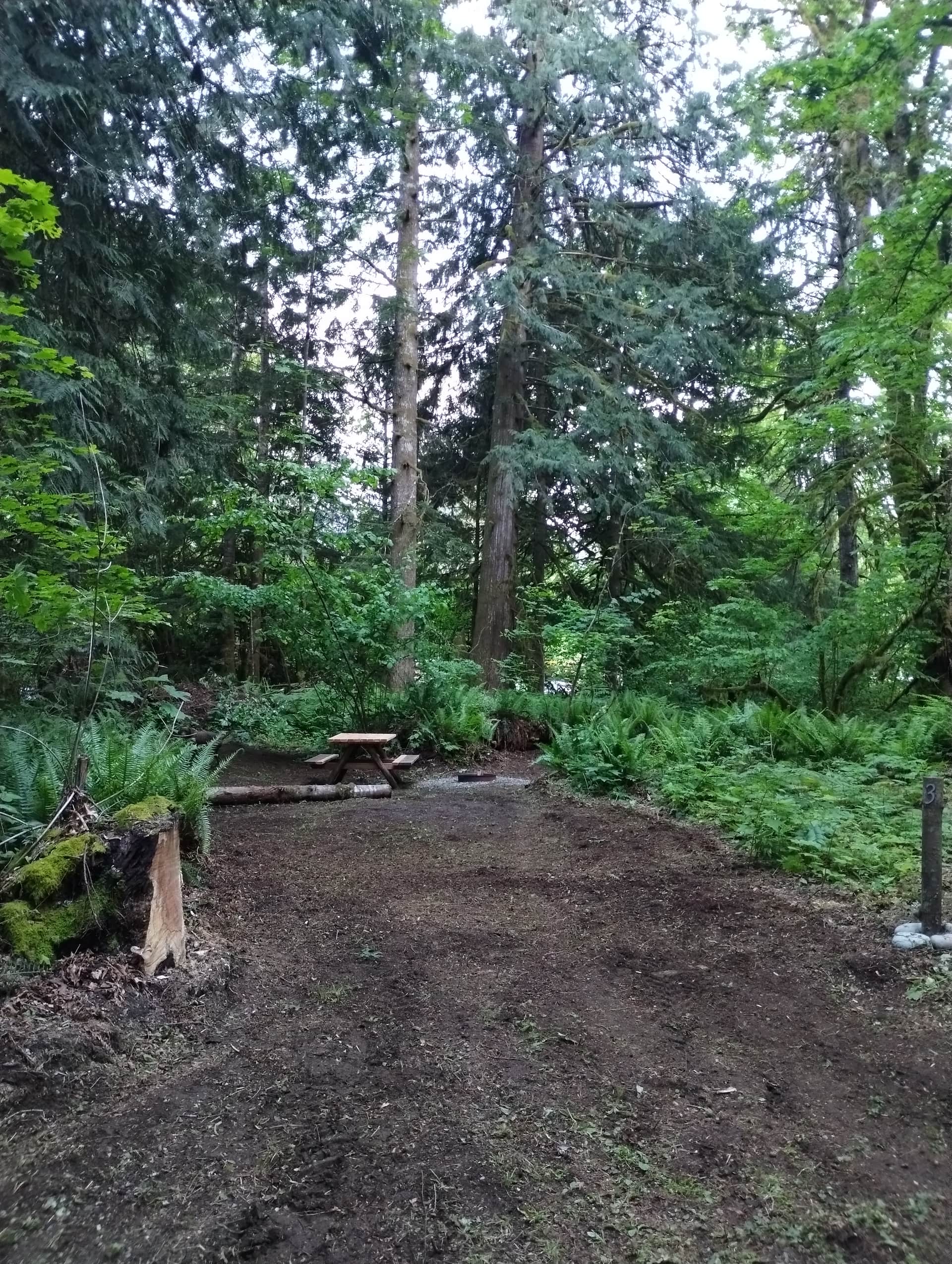Hideaway cedars campground