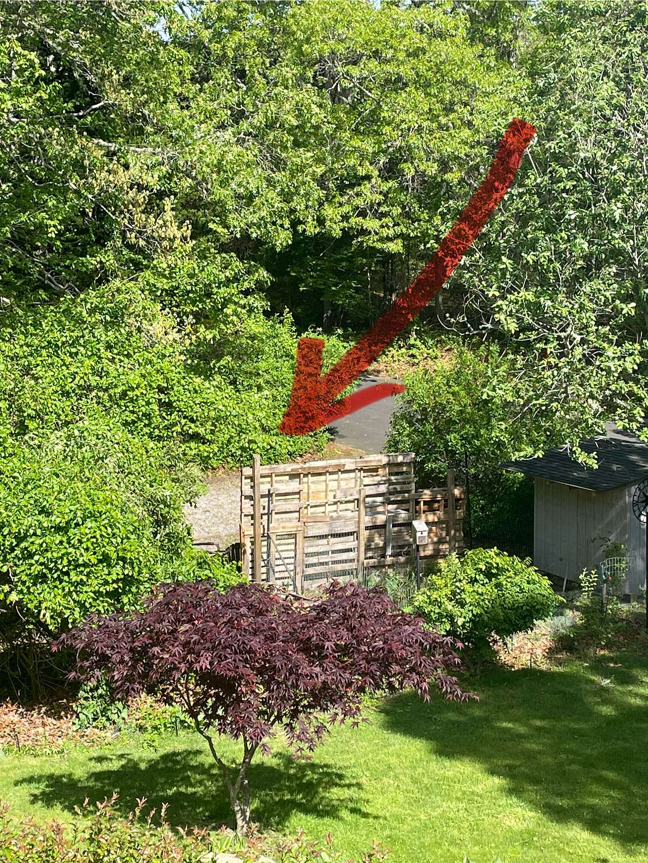 Picture of the site