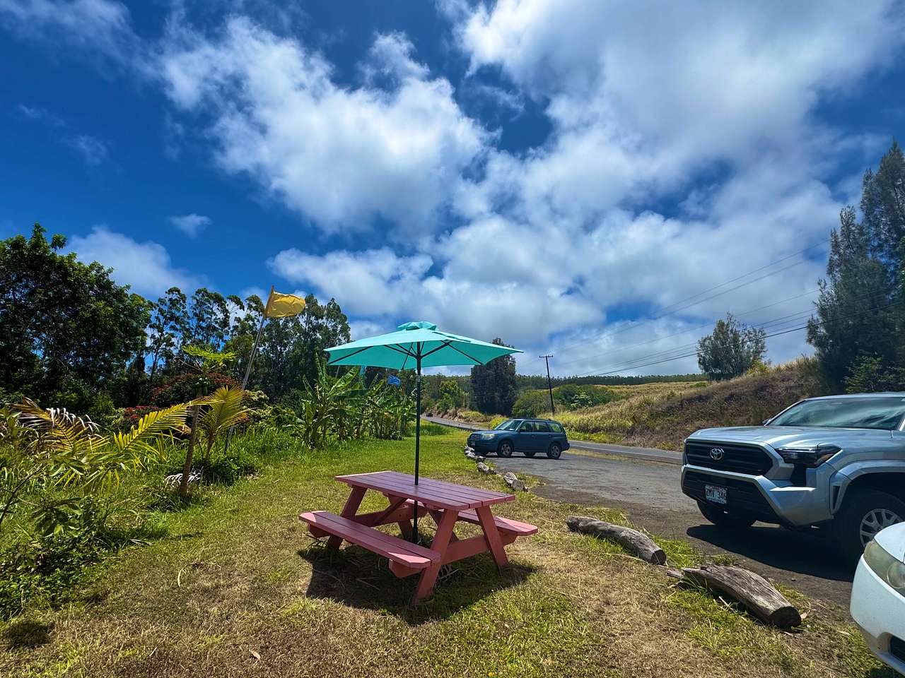 Roadside Fruit Stand Exotic Orchard