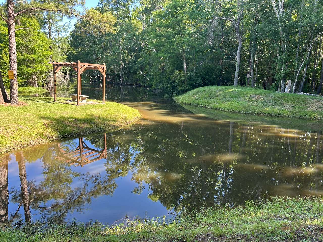 The pond