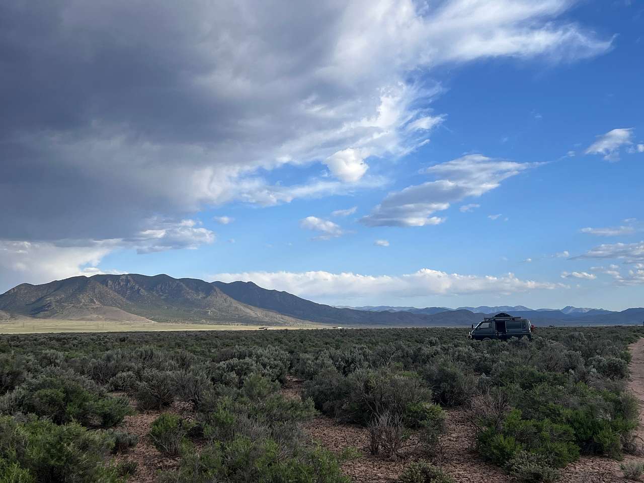 Briggs' Beryl Desert Retreat