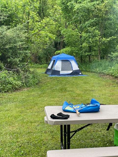 Site 6
