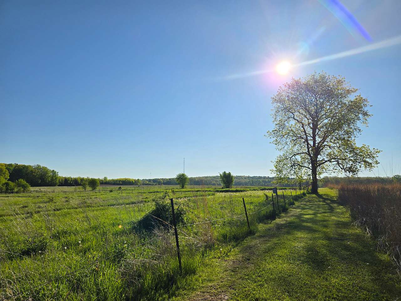 Picture of the site