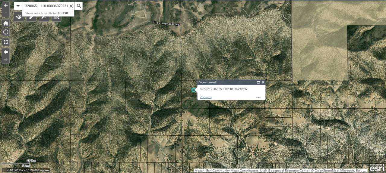 Picture of the site