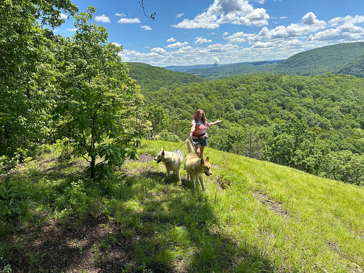 Close to Ricketts Glen State Park